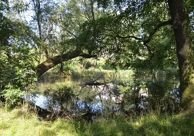 Park, in der Eulaaue