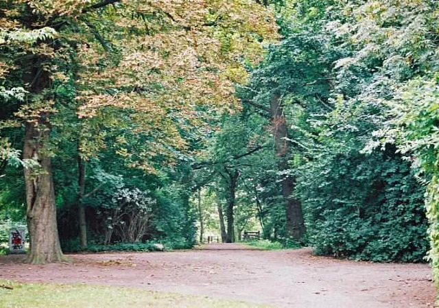 Stadtpark und Burggarten Salzwedel, Blick nach Norden