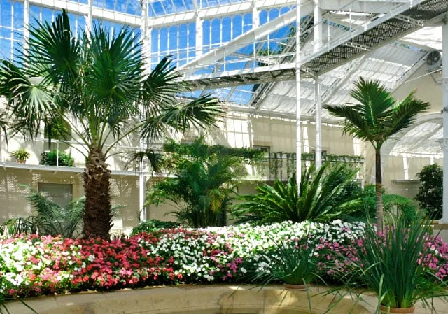 Palmenhaus innen