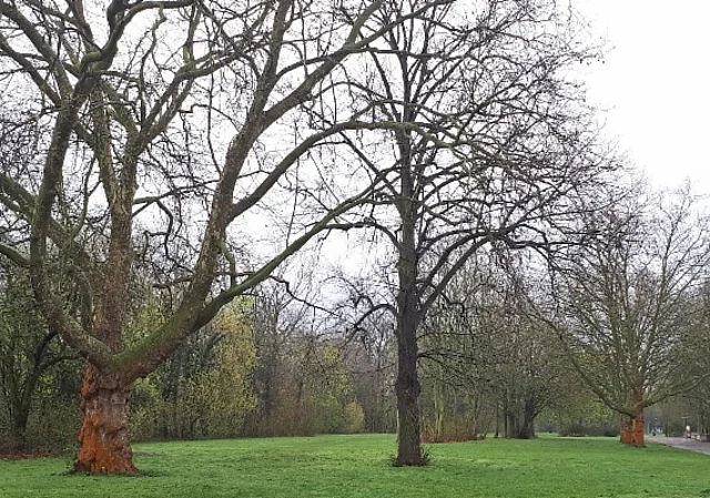 Weg zur Freilichtbühne
