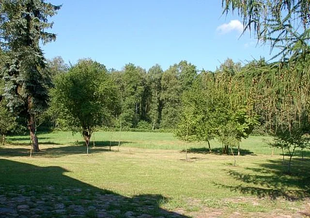 Rückseite, Blick zum Wald nach Nordwest