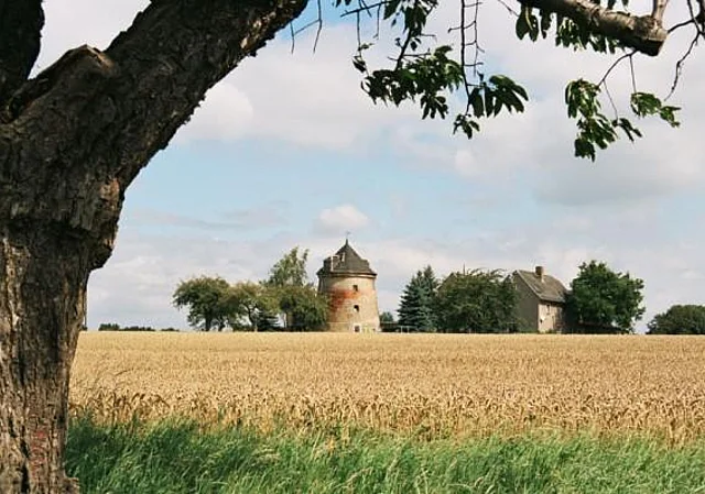 Windmühle Wildenbörten
