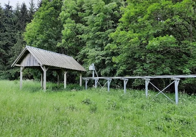 Wildgalgen