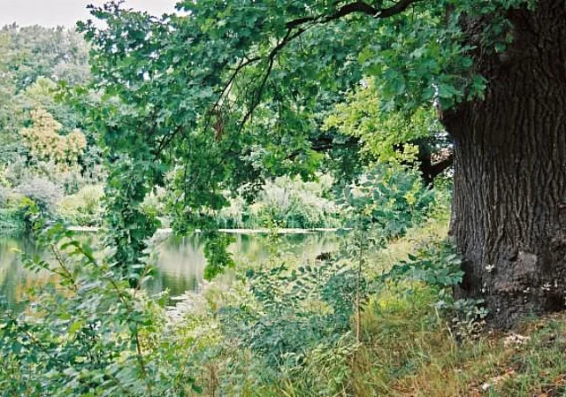 Stadtpark und Burggarten Salzwedel