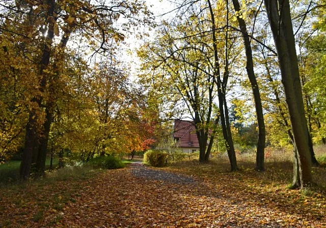 Schlosspark und Landschaftsgarten Ballenstedt