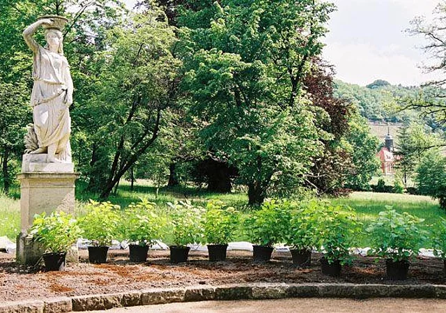 Schlosspark, Holländischer Garten