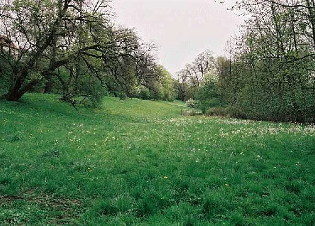 Blick nach Süden 