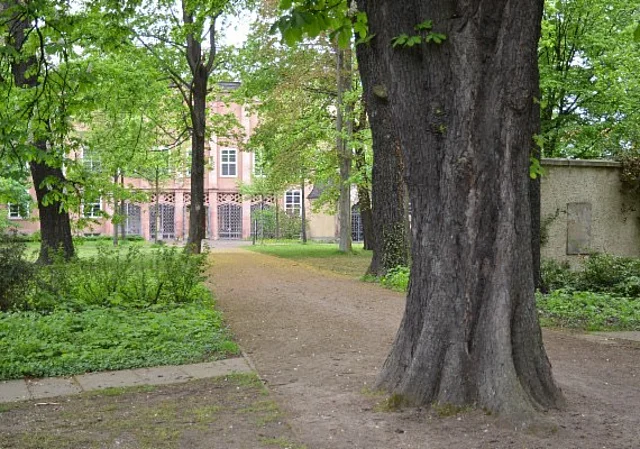 Alter Johannisfriedhof Leipzig, Blick zum Grassimuseum