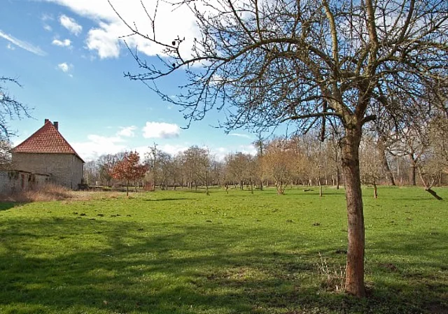 Kloster Hedersleben, Streuobstwiesen