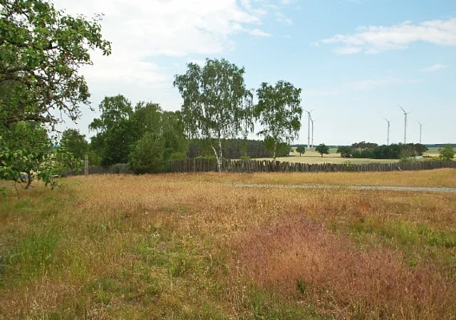 Langobardenwerkstatt Zethlingen: Mühlenberg