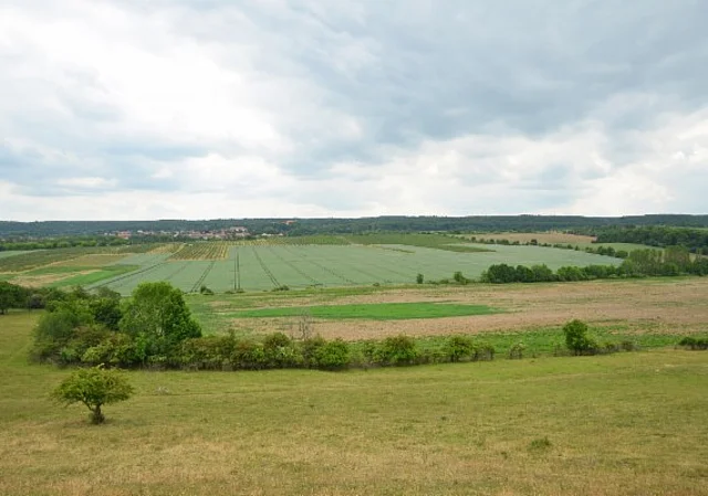 Blick nach Süden