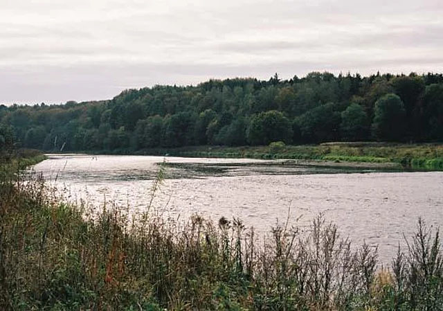 Mulde, Blick nach Süden