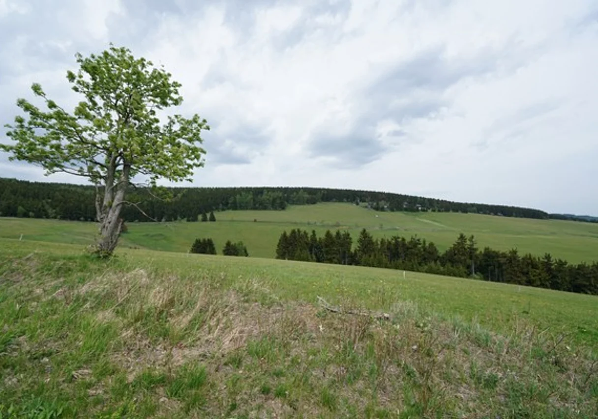 Landschaft in Oberwiesenthal
