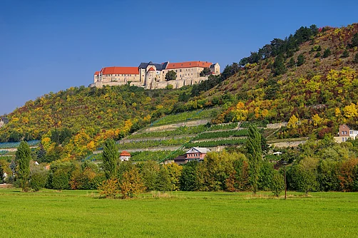 Schloss Neuenburg bei Freyburg (Unstrut) Schloss Neuenburg bei Freyburg (Unstrut)