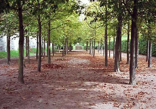 Nachtschießen