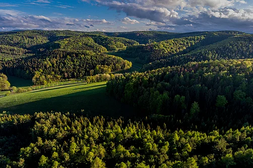 Thüringer Wald bei Schmalkalden Thüringer Wald bei Schmalkalden
