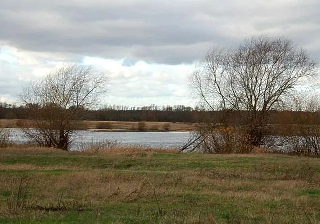 Elbe bei Ihleburg, nach Westen