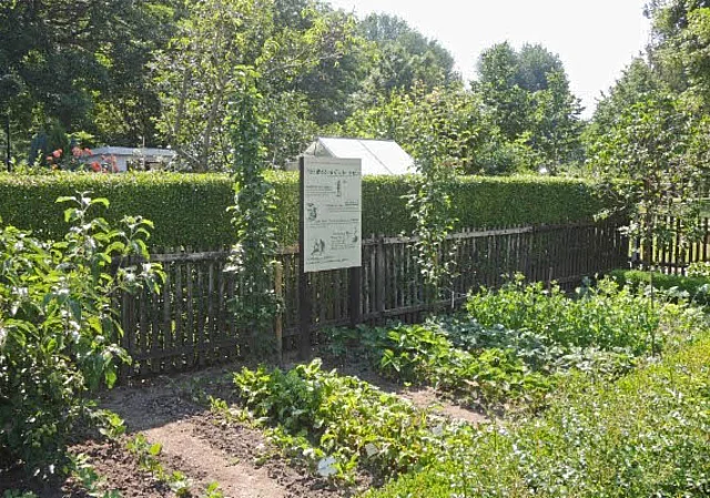 Museumsgarten