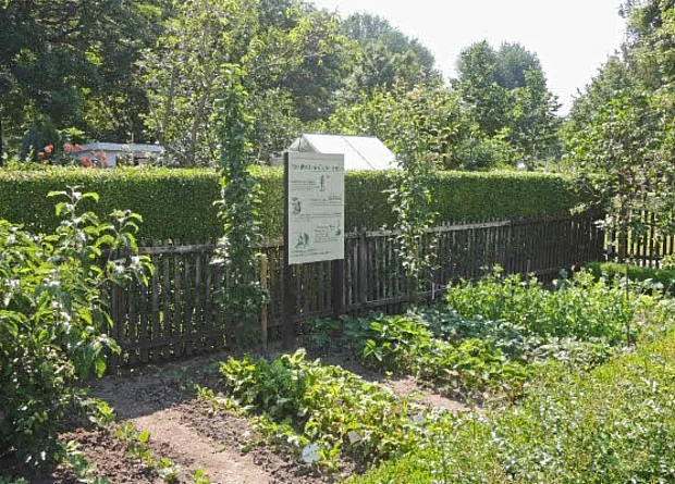 Museumsgarten 