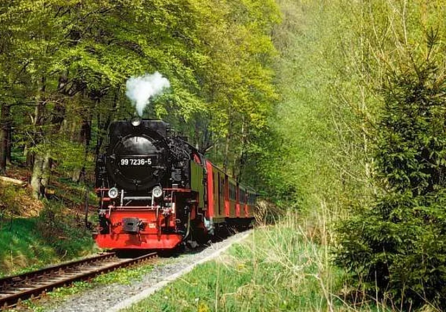 Selketalbahn bei Alexisbad