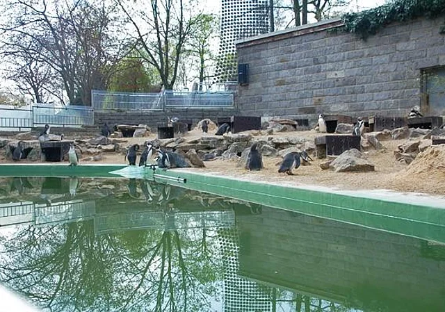 Pinguinanlage