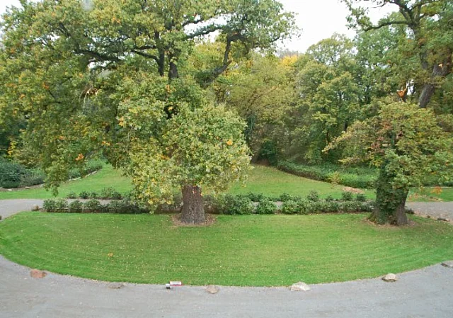 Eventschloss Schönfeld, Vorfahrt