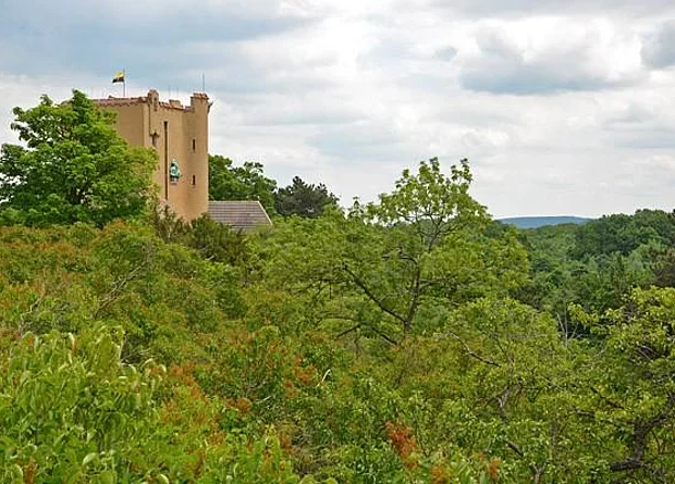 Roseburg, Blick zum Wohnturm nach Osten 