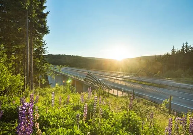 Autobahnbrücke Wilde Gera A71