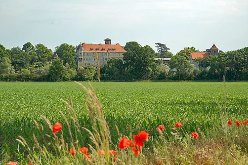 Landschaft bei Hohenerxleben Landschaft bei Hohenerxleben