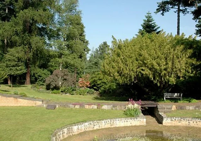 Blick in den Garten