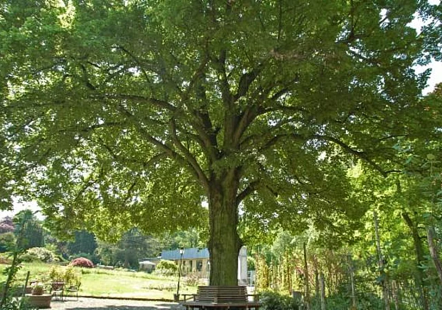 Unterteil, Blick zum Rosencafé am Stadteingang