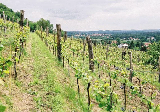 Blick Richtung Sächsische Schweiz, Südosten