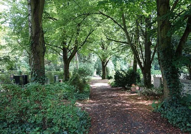 Allee
