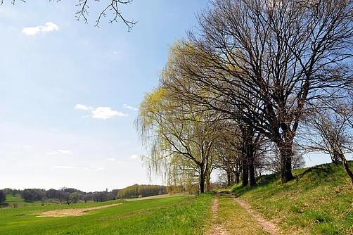 Zwischen Dahlen und Lampertswalde