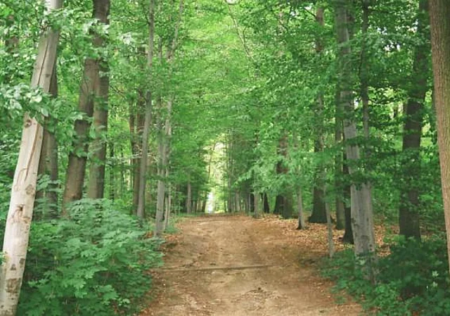 Parklandschaft Löbichau