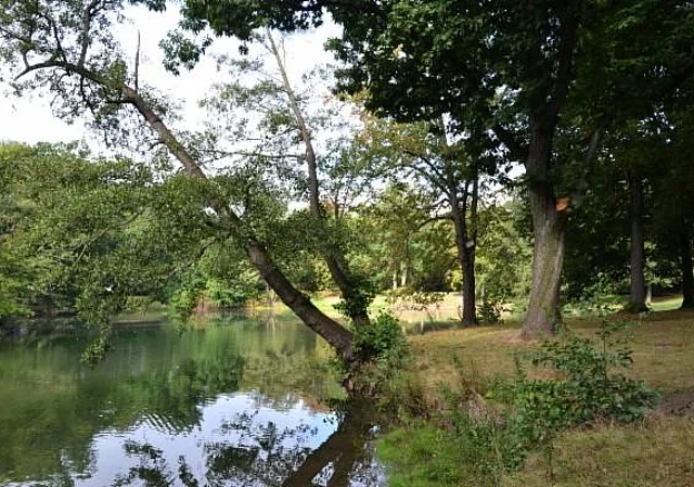 Clara-Zetkin-Park, Inselteich