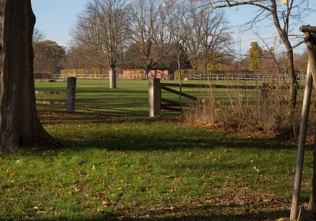 Koppel im Park