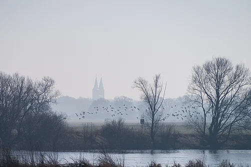 Blick zum Kloster Jerichow Blick zum Kloster Jerichow