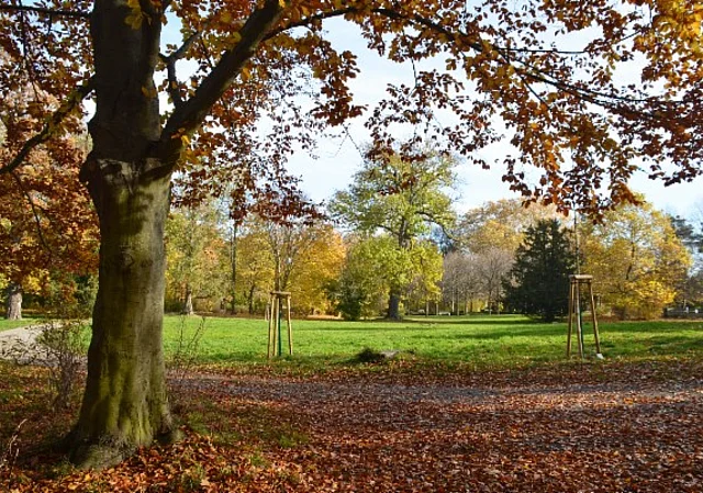 Schlosspark und Landschaftsgarten Ballenstedt