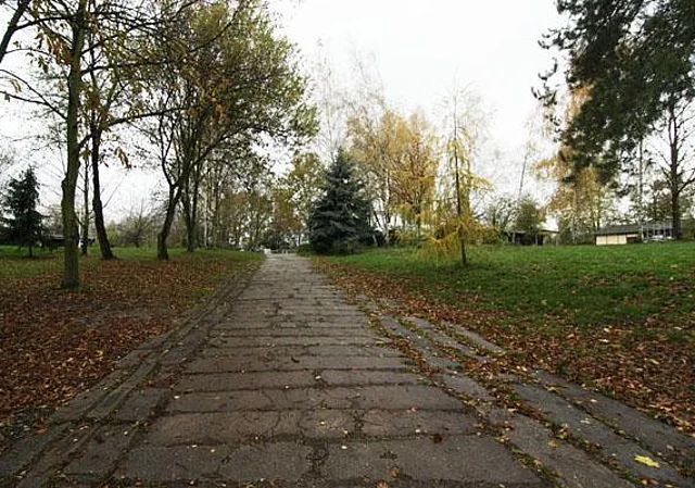 Weg zum Tor