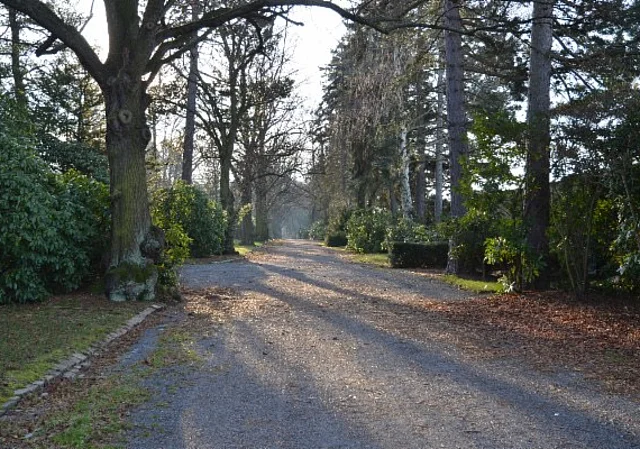 Südfriedhof Leipzig, Allee