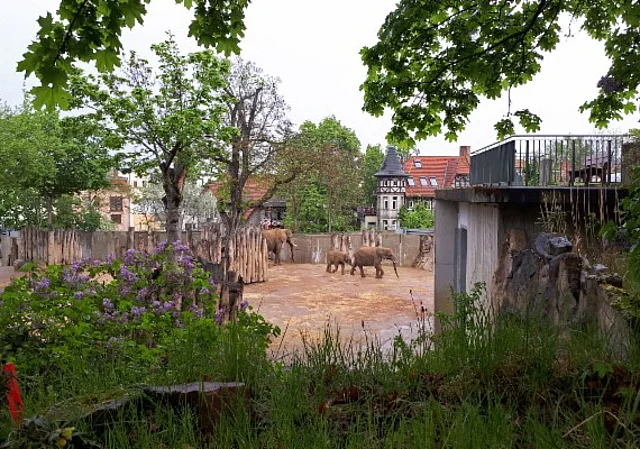 Elefantenanlage