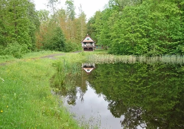 Teich am Siebshaus