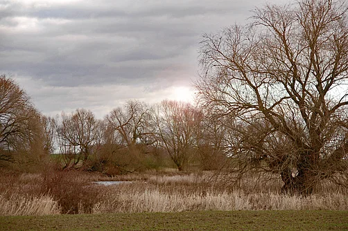 An der Elbe An der Elbe
