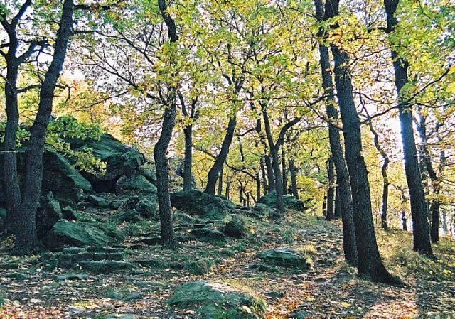 Wanderweg, Blick nach Westen