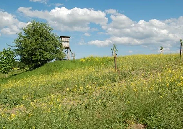 Schlachtberg