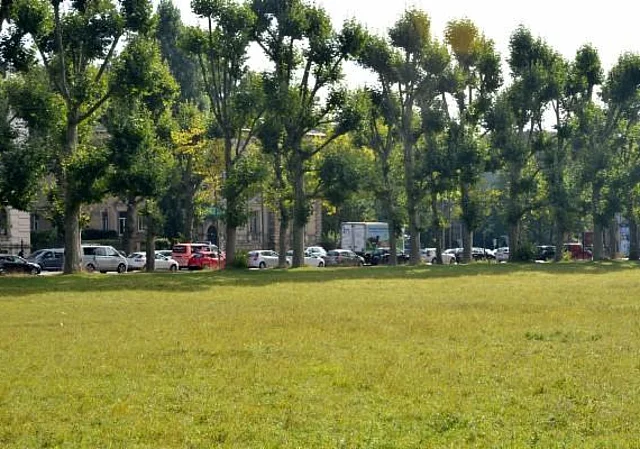 Clara-Zetkin-Park an der Karl-Tauchnitz-Str.
