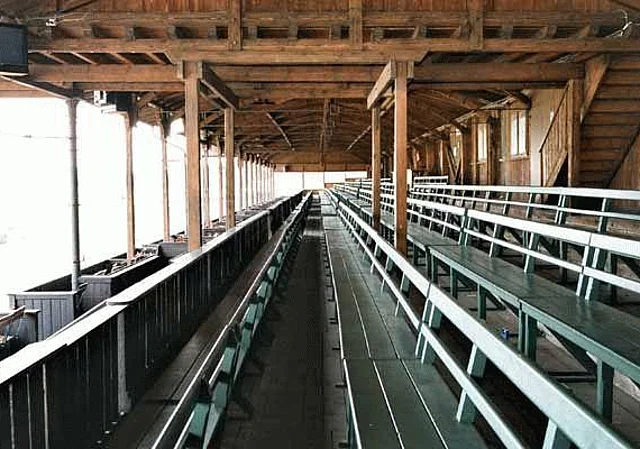 Haupttribüne