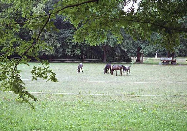 Landschaft