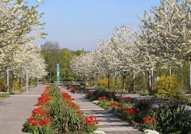 Europa-Rosarium Sangerhausen, Hauptachse